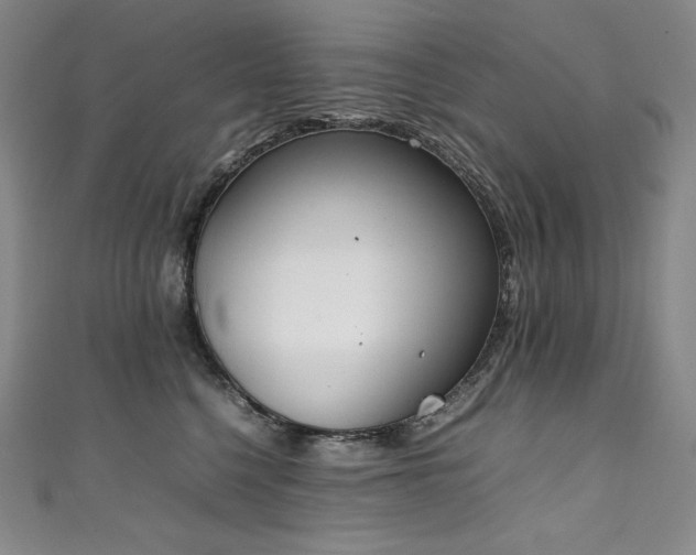 X0000111140568200906301232