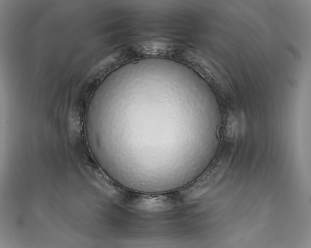 X0000111140569200906301232