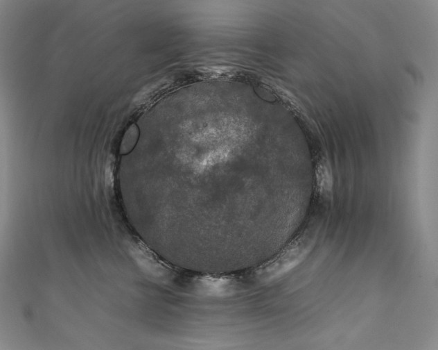 X0000111140570200906301232