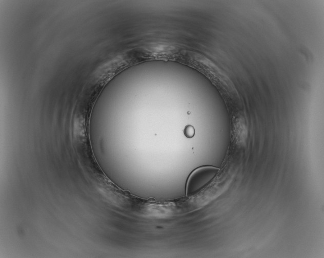 X0000111140571200906301232