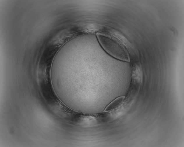 X0000111140572200906301232