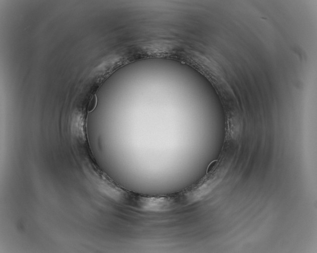 X0000111140575200906301232