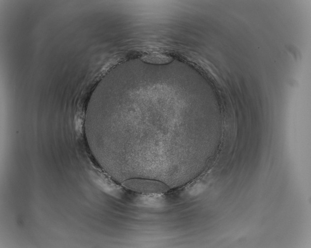 X0000111140576200906301232