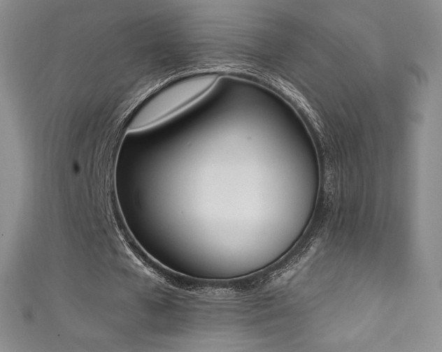 X0000111140577200906301232