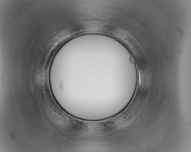 X0000111140579200906301232