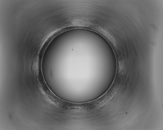 X0000111140580200906301232