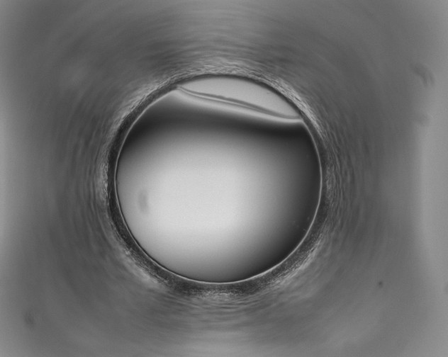 X0000111140581200906301232