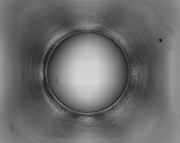 X0000111140582200906301232