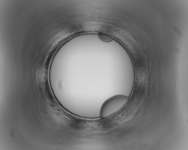 X0000111140583200906301232