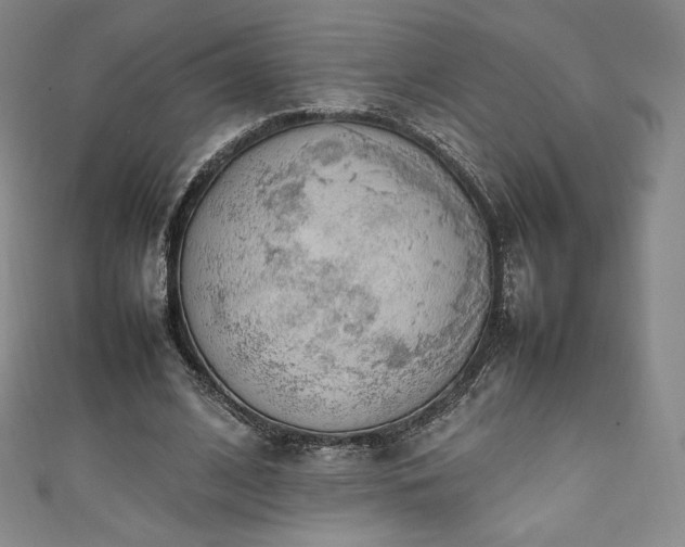 X0000111140584200906301232