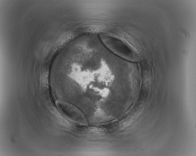 X0000111140585200906301232