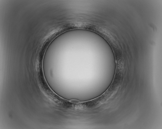 X0000111140587200906301232