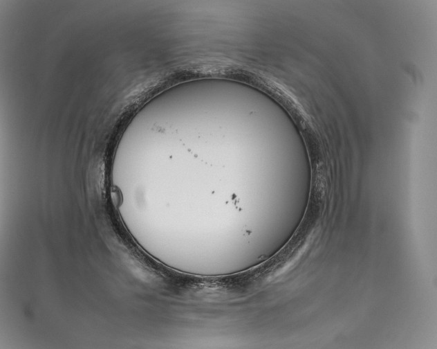 X0000111140589200906301232