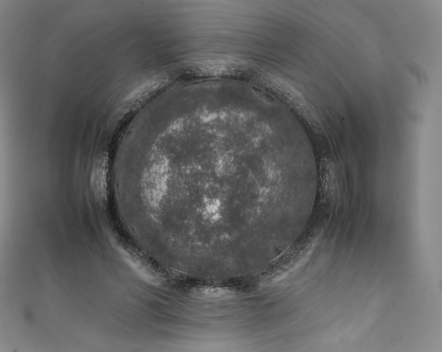 X0000111140590200906301232