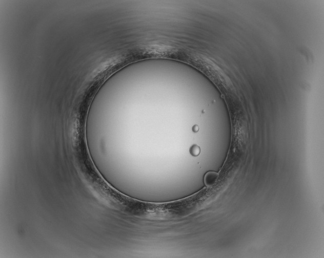 X0000111140591200906301232