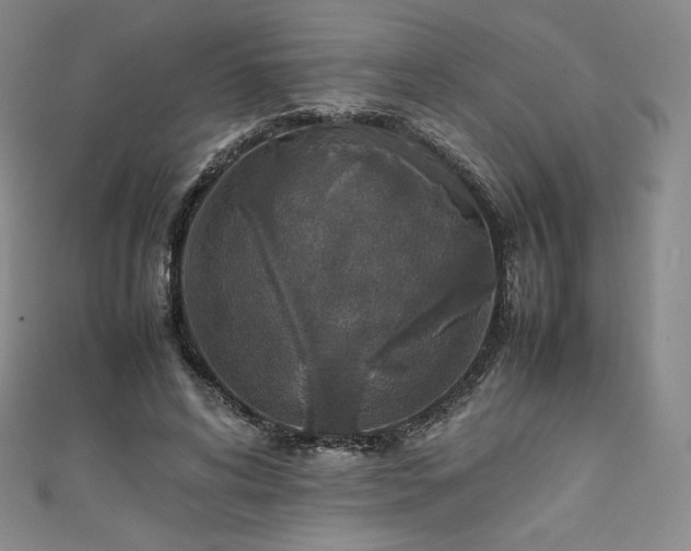 X0000111140592200906301232