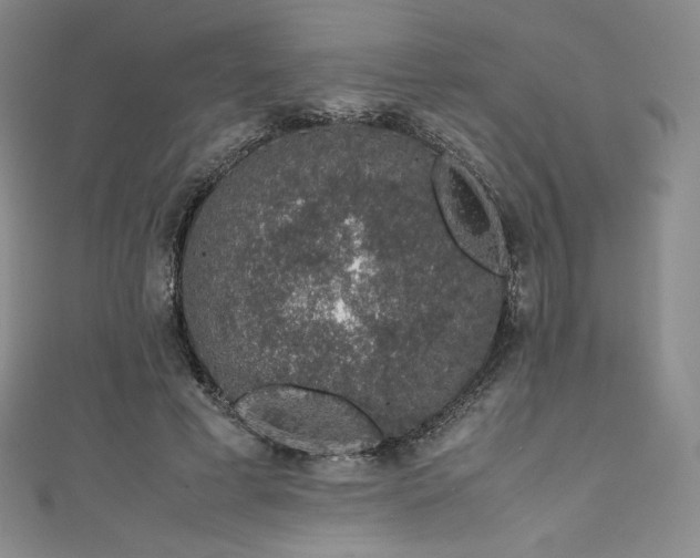 X0000111140593200906301232