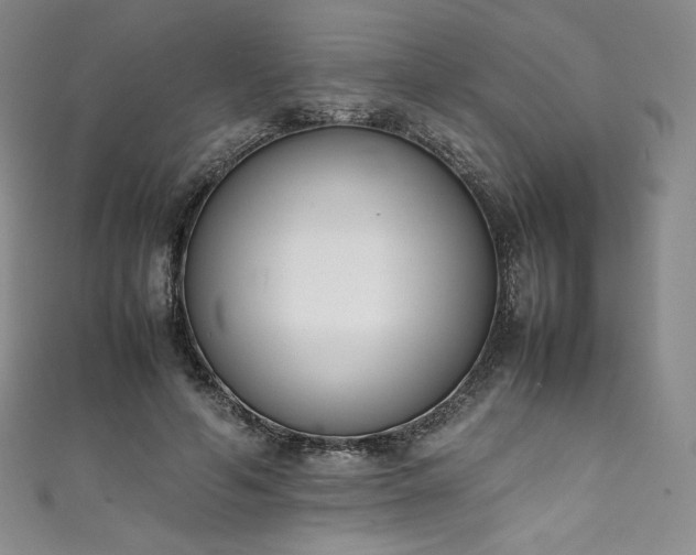 X0000111140594200906301232