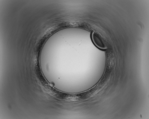 X0000111140595200906301232