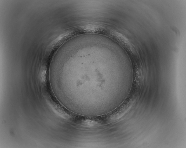 X0000111140596200906301232