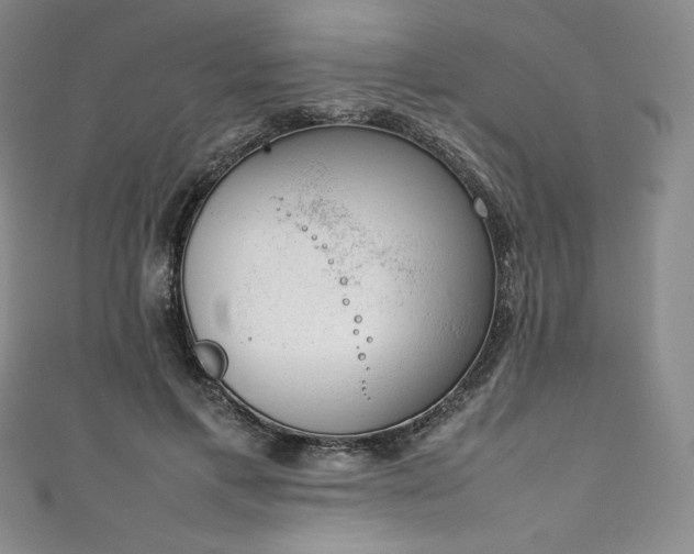 X0000111140597200906301232