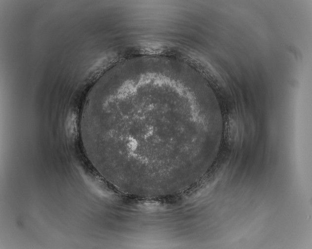 X0000111140598200906301232