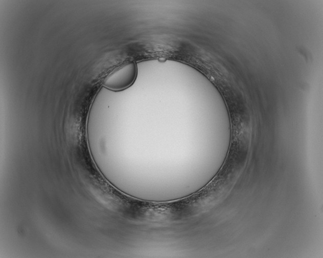 X0000111140599200906301232