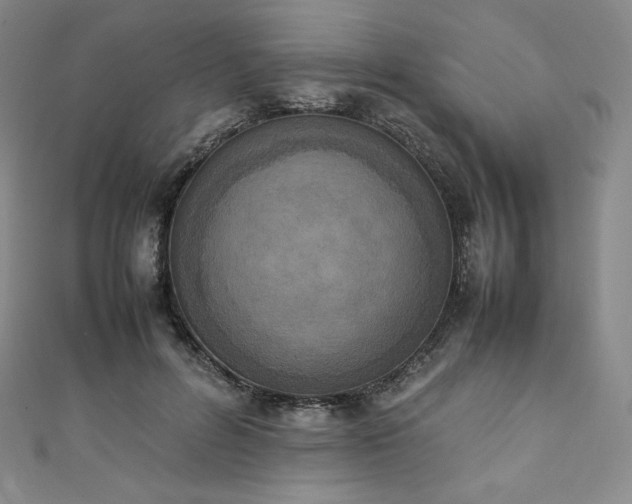 X0000111140600200906301232