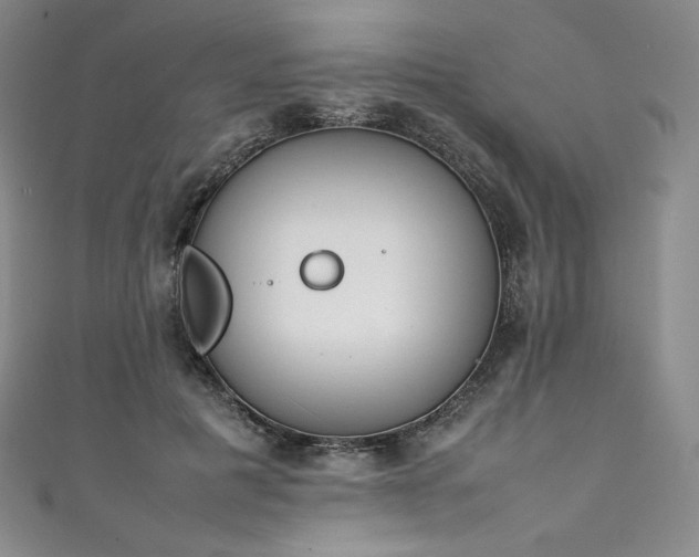 X0000111140601200906301232