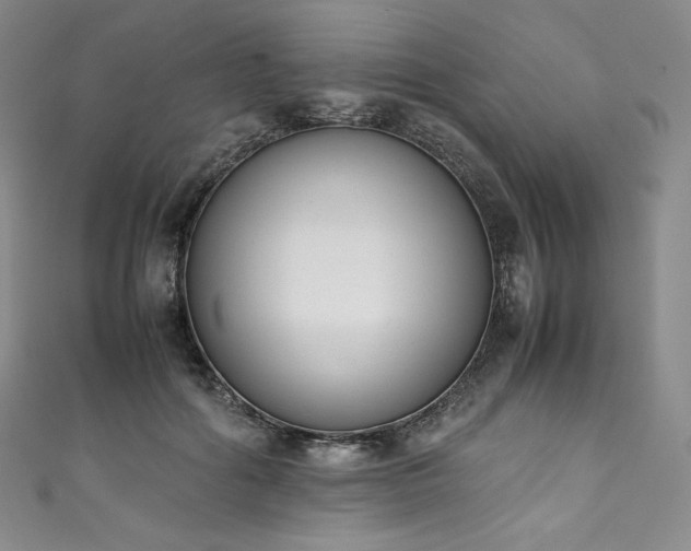 X0000111140602200906301232