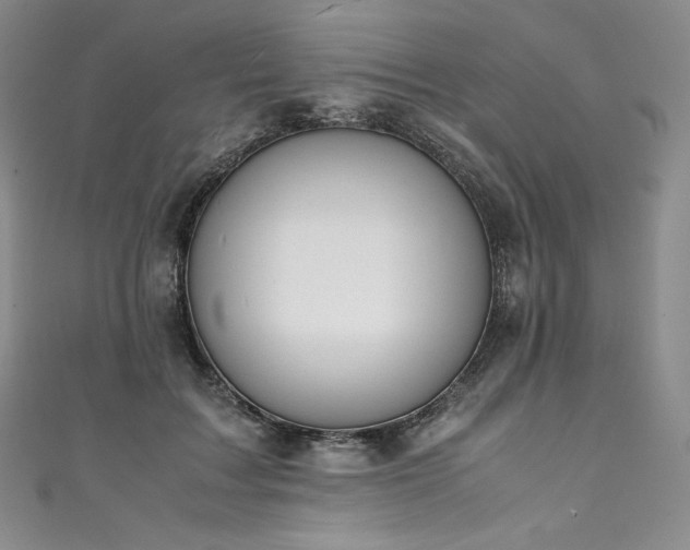 X0000111140603200906301232