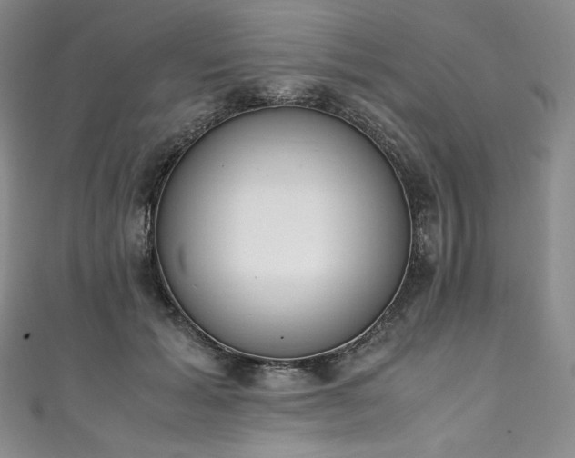 X0000111140605200906301232