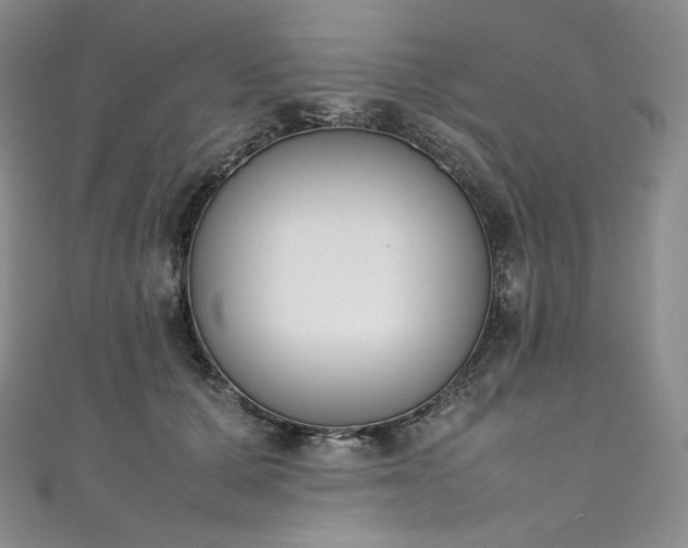 X0000111140607200906301231