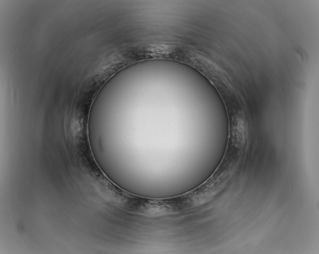 X0000111140608200906301231