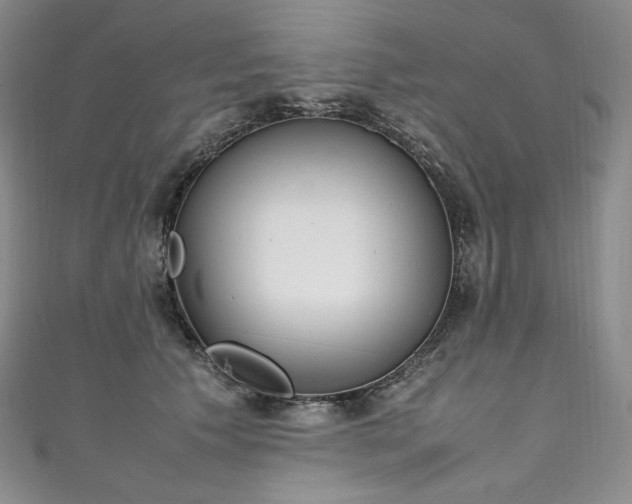 X0000111140609200906301231