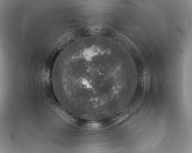 X0000111140610200906301231