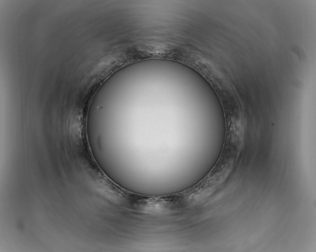 X0000111140612200906301231