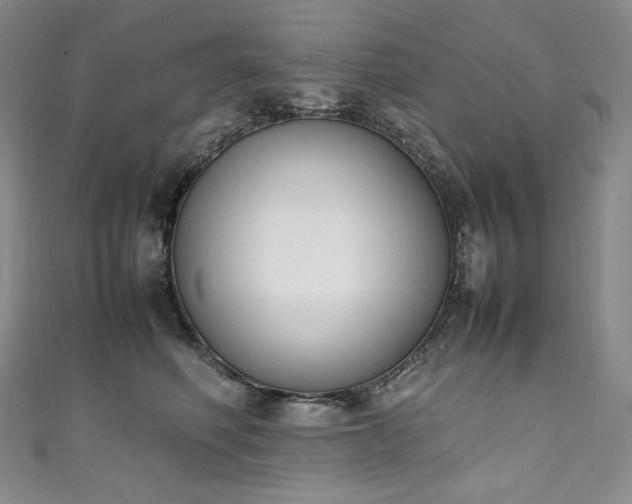 X0000111140614200906301231