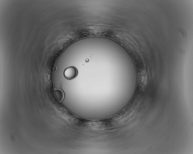 X0000111140615200906301231