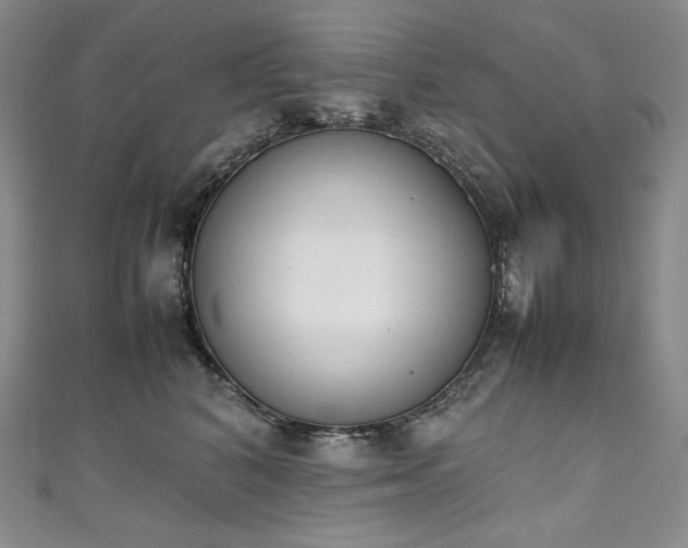 X0000111140616200906301231