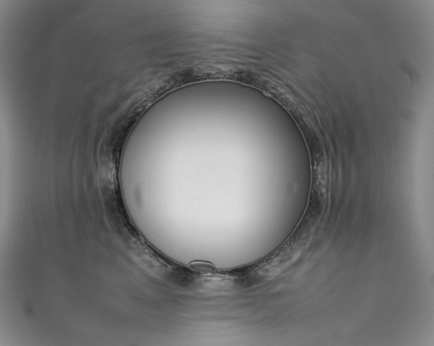 X0000111140617200906301231