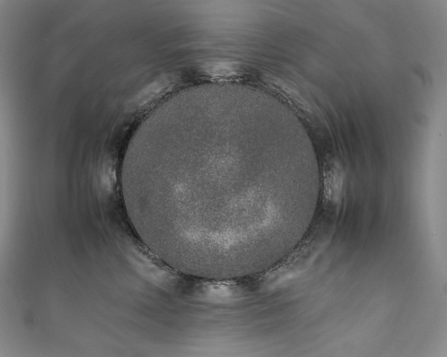 X0000111140618200906301231