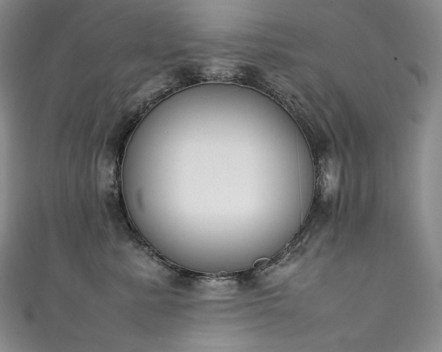 X0000111140619200906301231