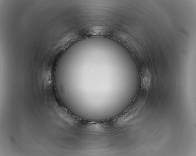 X0000111140620200906301231