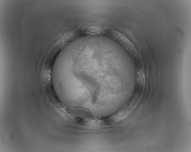 X0000111140621200906301231