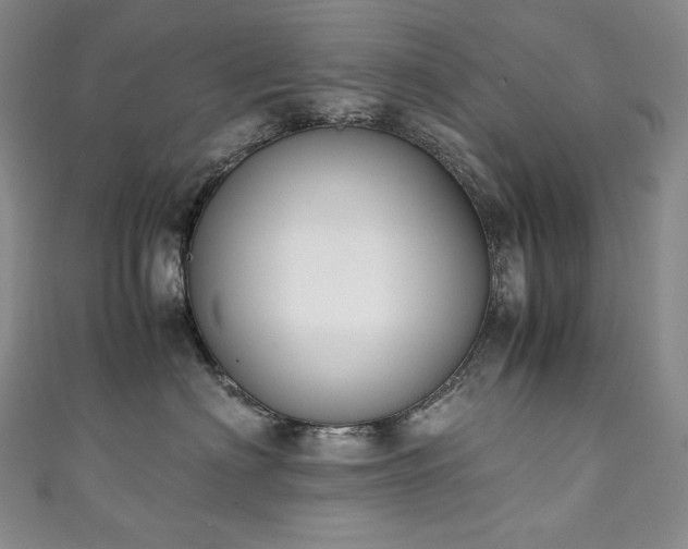 X0000111140622200906301231