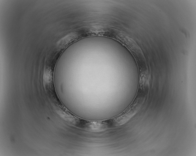 X0000111140623200906301231