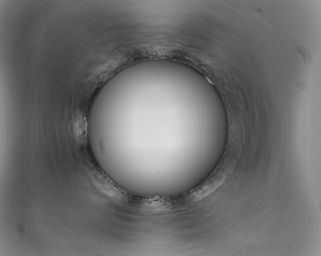 X0000111140624200906301231