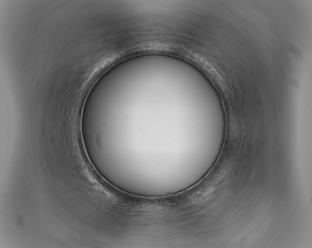 X0000111140625200906301231