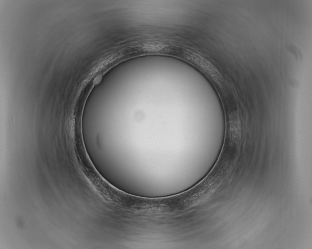 X0000111140626200906301231